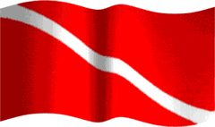 DIV